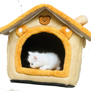 Cat Grooming Home